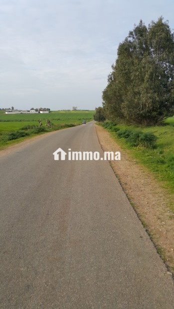 Terrain à vendre à Lakhyayta axe RP 3003 - Vente Immobilier - Casablanca - photo 8