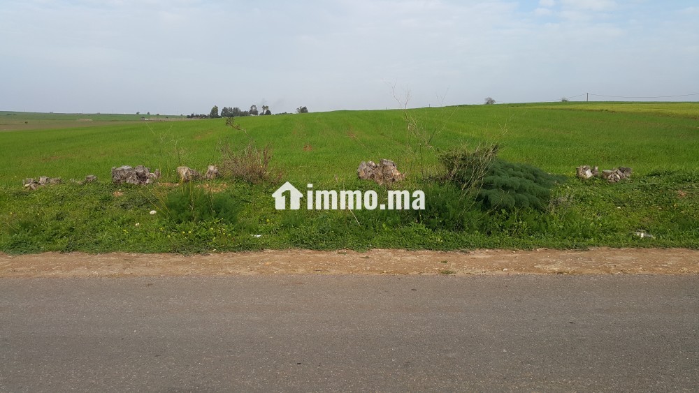 Terrain à vendre à Lakhyayta axe RP 3003 - Vente Immobilier - Casablanca - photo 7
