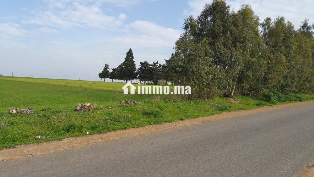 Terrain à vendre à Lakhyayta axe RP 3003 - Vente Immobilier - Casablanca - photo 5