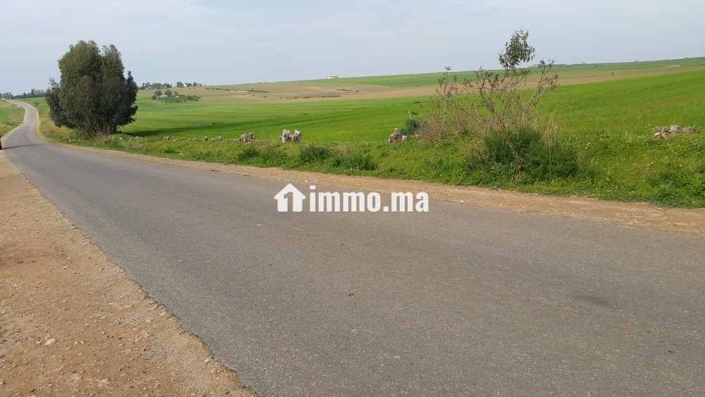 Terrain à vendre à Lakhyayta axe RP 3003 - Vente Immobilier - Casablanca - photo 6