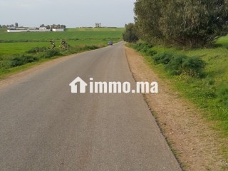 Terrain à vendre à Lakhyayta axe RP 3003 - Terrain à vendre - Casablanca