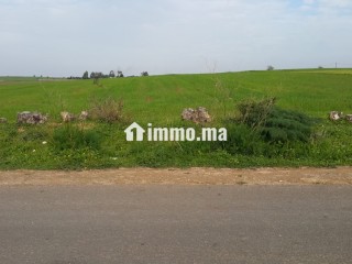 Terrain à vendre à Lakhyayta axe RP 3003 - Terrain à vendre - Casablanca
