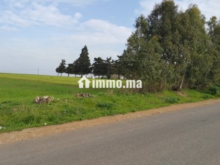 Terrain à vendre à Lakhyayta axe RP 3003 - Terrain à vendre - Casablanca