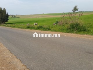 Terrain à vendre à Lakhyayta axe RP 3003 - Terrain à vendre - Casablanca