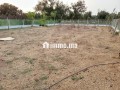 Terrain ferme 500 m2, 15 min de Rabat - miniature 5