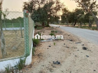 Terrain ferme 500 m2, 15 min de Rabat - Terrain à vendre - Sala Al Jadida