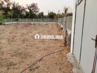 Terrain ferme 500 m2, 15 min de Rabat - Terrain à vendre - Sala Al Jadida