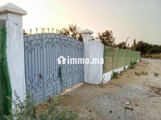 Terrain ferme 500 m2, 15 min de Rabat - Terrain à vendre - Sala Al Jadida