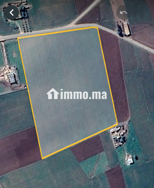 Terrain agricole de 4 hectares à Ben Ahmed - Vente Immobilier - Casablanca - photo 4
