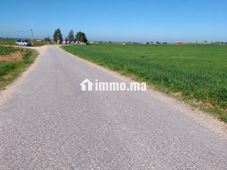 Terrain agricole de 4 hectares à Ben Ahmed - Terrain à vendre - Casablanca