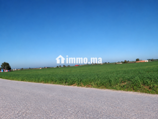 Terrain agricole de 4 hectares à Ben Ahmed - Terrain à vendre - Casablanca