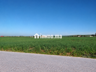 Terrain agricole de 4 hectares à Ben Ahmed - Terrain à vendre - Casablanca