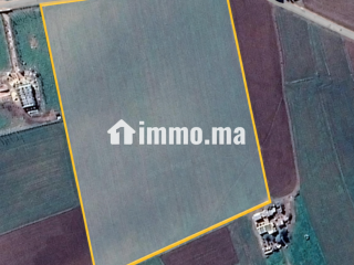 Terrain agricole de 4 hectares à Ben Ahmed - Terrain à vendre - Casablanca