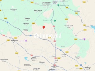 Terrain agricole de 4 hectares à Ben Ahmed - Terrain à vendre - Casablanca