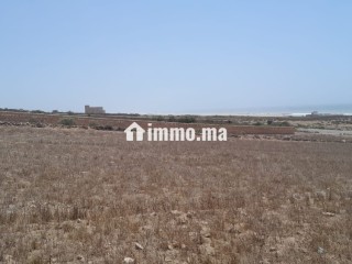 À vendre terrain titré, Essaouira, à proximité de la plage. - Terrain à vendre - Essaouira