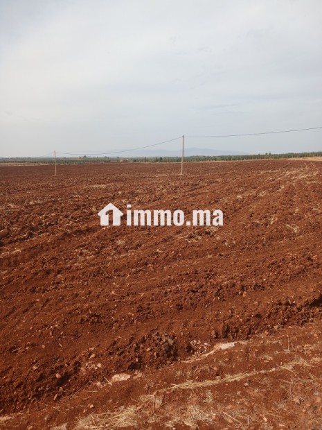 ارض للبيع في مدينة حاجب - Vente Immobilier - El Hajeb - photo 1