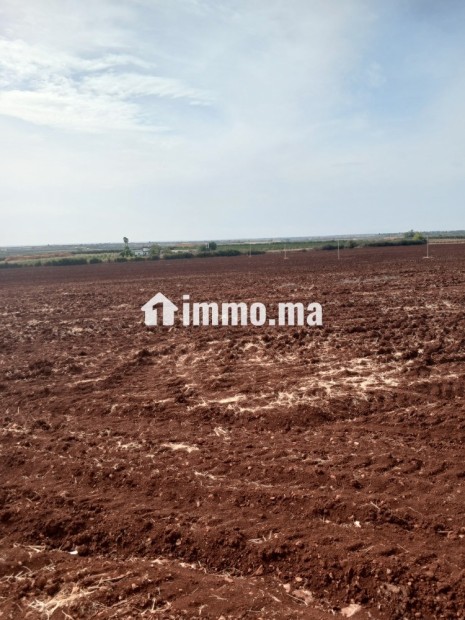 ارض للبيع في مدينة حاجب - Vente Immobilier - El Hajeb - photo 2