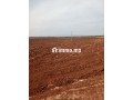 ارض للبيع في مدينة حاجب - miniature 1