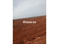 ارض للبيع في مدينة حاجب - miniature 3