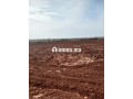 ارض للبيع في مدينة حاجب - miniature 2