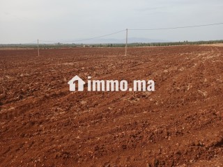 ارض للبيع في مدينة حاجب - Terrain à vendre - El Hajeb
