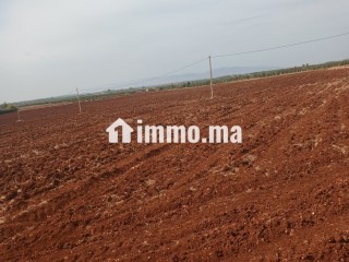 ارض للبيع في مدينة حاجب - Terrain à vendre - El Hajeb