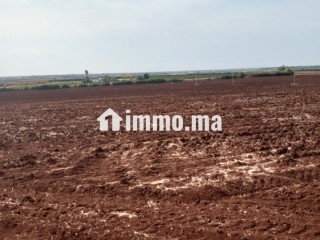 ارض للبيع في مدينة حاجب - Terrain à vendre - El Hajeb