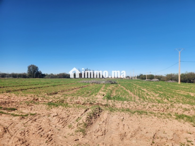 Terrain constructible de 5 000 m² à vendre – Vue Atlas – Proche Marrakech - Vente Immobilier - Marrakech - photo 4