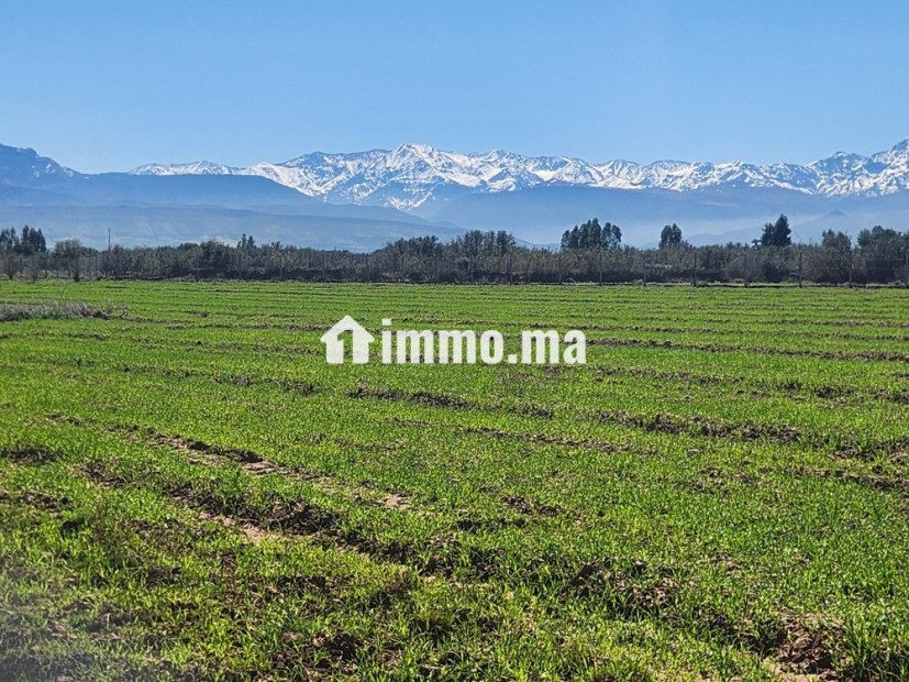 Terrain constructible de 5 000 m² à vendre – Vue Atlas – Proche Marrakech - Vente Immobilier - Marrakech - photo 1