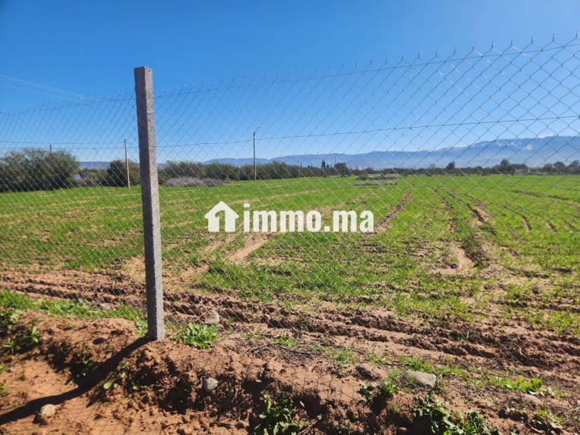 Terrain constructible de 5 000 m² à vendre – Vue Atlas – Proche Marrakech - Vente Immobilier - Marrakech - photo 2