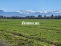 Terrain constructible de 5 000 m² à vendre – Vue Atlas – Proche Marrakech - miniature 1