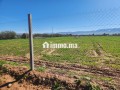 Terrain constructible de 5 000 m² à vendre – Vue Atlas – Proche Marrakech - miniature 2