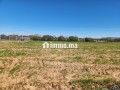 Terrain constructible de 5 000 m² à vendre – Vue Atlas – Proche Marrakech - miniature 3