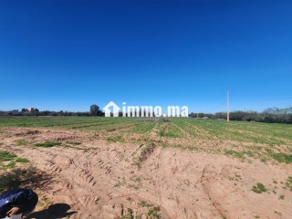 Terrain constructible de 5 000 m² à vendre – Vue Atlas – Proche Marrakech - Terrain à vendre - Marrakech
