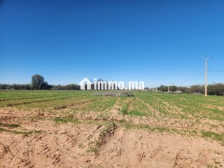 Terrain constructible de 5 000 m² à vendre – Vue Atlas – Proche Marrakech - Terrain à vendre - Marrakech