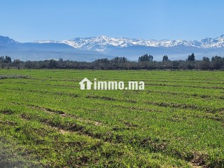 Terrain constructible de 5 000 m² à vendre – Vue Atlas – Proche Marrakech - Terrain à vendre - Marrakech