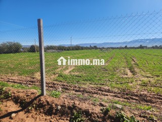 Terrain constructible de 5 000 m² à vendre – Vue Atlas – Proche Marrakech - Terrain à vendre - Marrakech