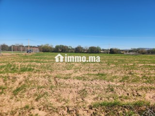 Terrain constructible de 5 000 m² à vendre – Vue Atlas – Proche Marrakech - Terrain à vendre - Marrakech