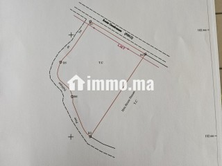 Terrain constructible de 5 000 m² à vendre – Vue Atlas – Proche Marrakech - Terrain à vendre - Marrakech