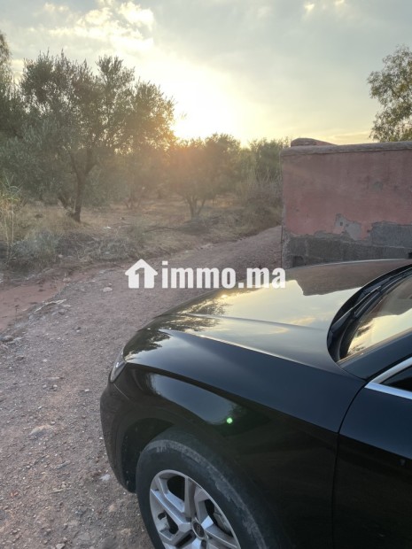 قرب سيدي رحال ٤٥ كلم من مراكش - Vente Immobilier - Marrakech - photo 2