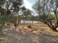 قرب سيدي رحال ٤٥ كلم من مراكش - miniature 4