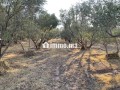 قرب سيدي رحال ٤٥ كلم من مراكش - miniature 1
