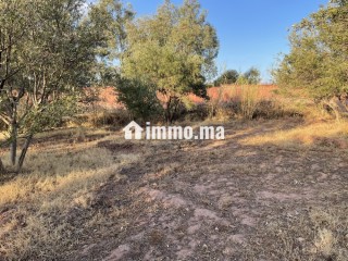 قرب سيدي رحال ٤٥ كلم من مراكش - Terrain à vendre - Marrakech