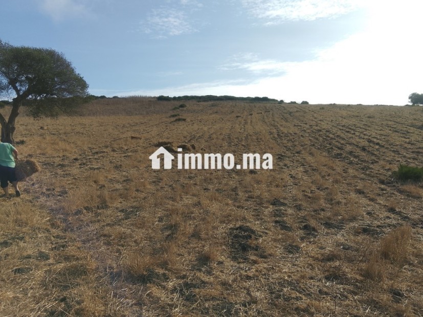Terrain titré à Sahel chamali asila - Vente Immobilier - Asilah - photo 6