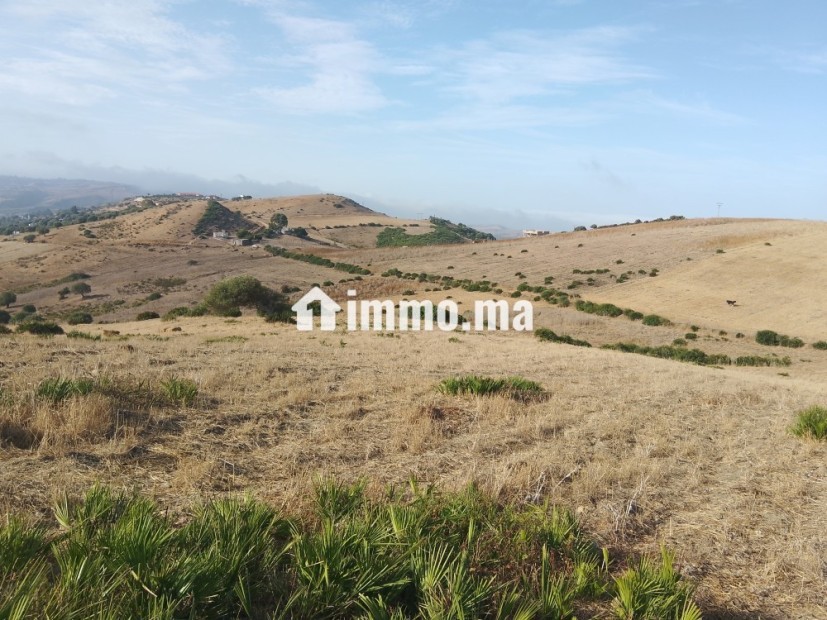 Terrain titré à Sahel chamali asila - Vente Immobilier - Asilah - photo 5