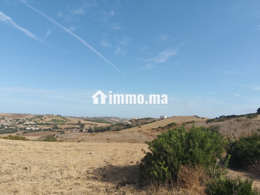 Terrain titré à Sahel chamali asila - Vente Immobilier - Asilah - photo 2
