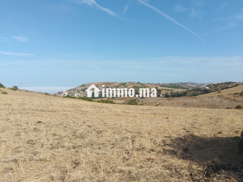 Terrain titré à Sahel chamali asila - Vente Immobilier - Asilah - photo 1