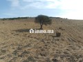Terrain titré à Sahel chamali asila - miniature 3