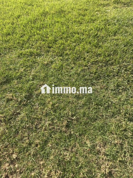 Oumnass Tamsloht Marrakech - Vente Immobilier - Marrakech - photo 1