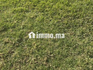 Oumnass Tamsloht Marrakech - بقع أرضية للبيع - مراكش